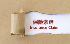 保险索赔