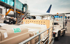 各航空公司对宠物入境有哪些规定？