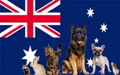 澳大利亚（澳洲）宠物入境规定和要求