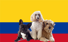 哥伦比亚宠物入境规定和要求