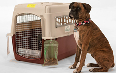 巴林宠物入境规定和要求