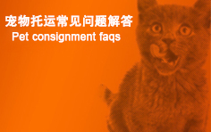 宠物托运常见问题解答