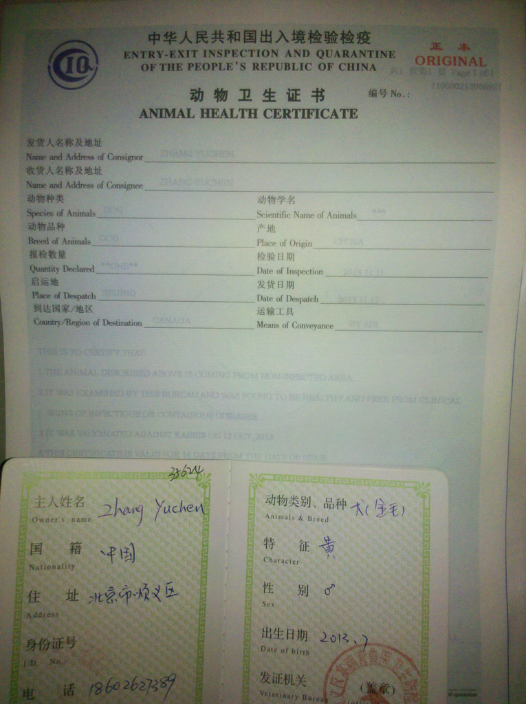 出境货物通关单