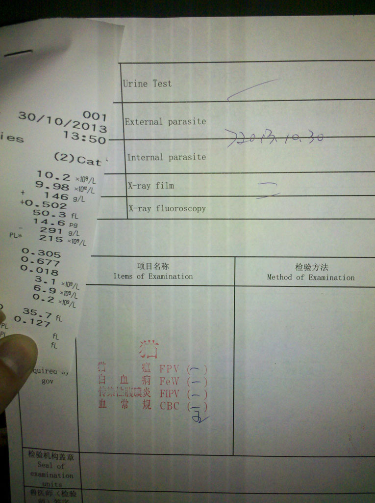 伴侣动物健康检查合格表