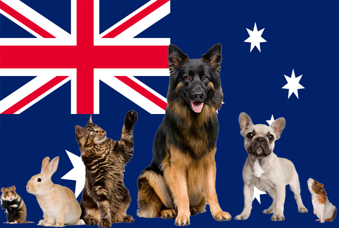 澳大利亚(澳洲)宠物入境规定和要求