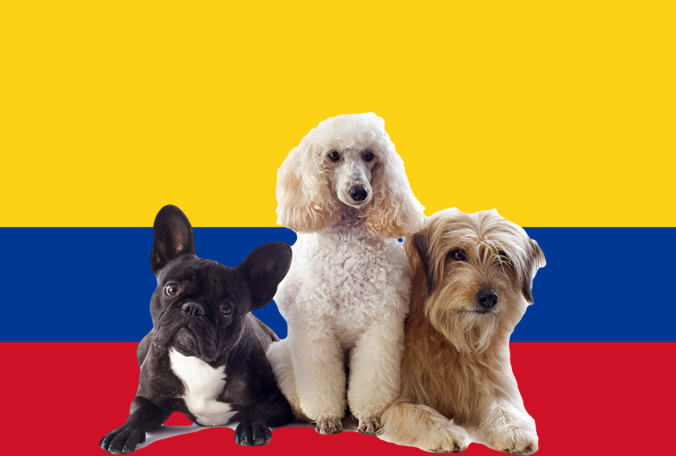 哥伦比亚宠物入境规定和要求