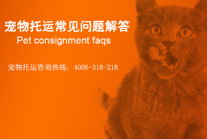宠物托运常见问题解答