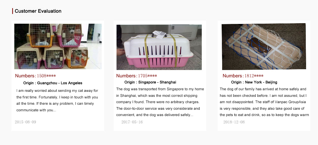 Customer Evaluation of Pet Shipping