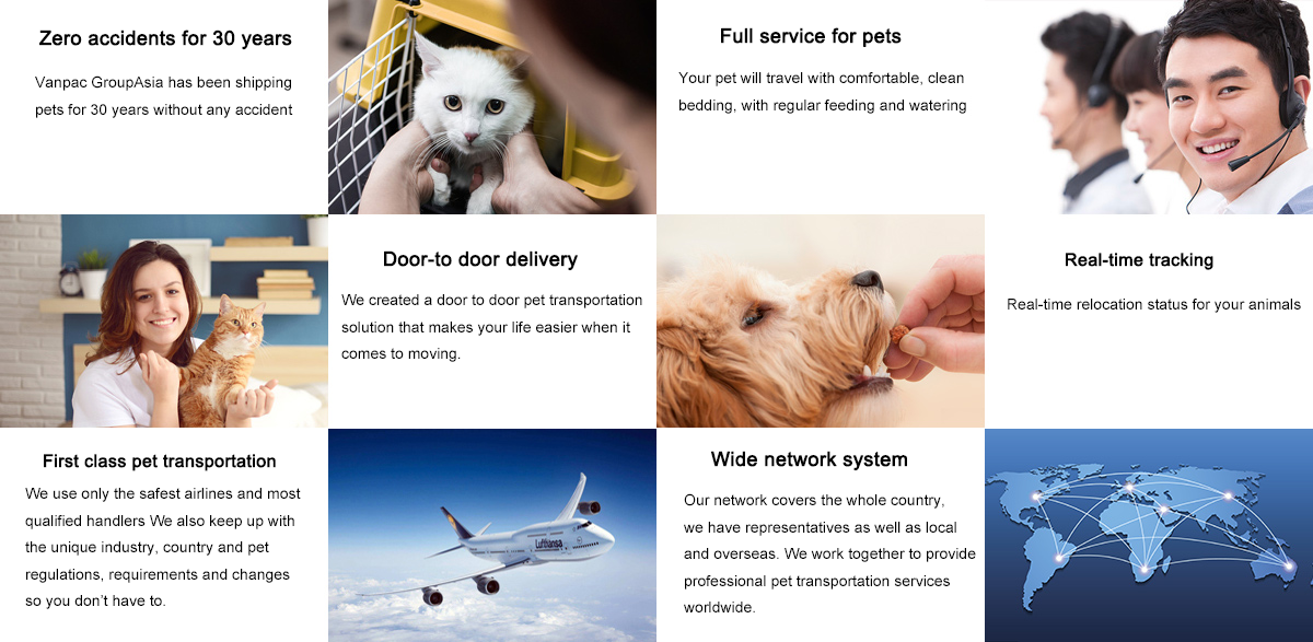 Why Vanpac GroupAsia Pet checked